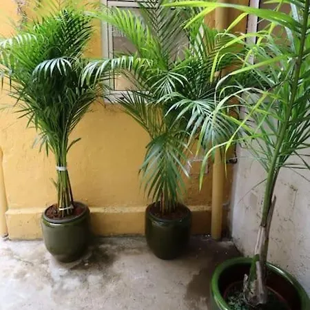 Center Balcony Bica * ליסבון